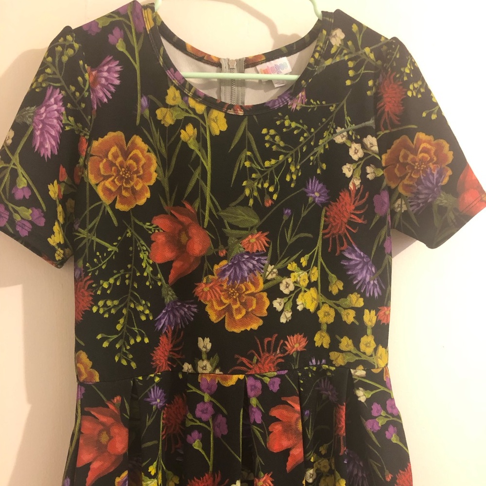 L Amelia Lularoe